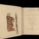 1805 1ed Agriculture FARMING Illustrated Husbandry Cows Cattle Sheep Horses 2v