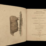 1805 1ed Agriculture FARMING Illustrated Husbandry Cows Cattle Sheep Horses 2v
