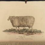 1805 1ed Agriculture FARMING Illustrated Husbandry Cows Cattle Sheep Horses 2v