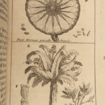 1739 1ed Astrology Cosmogony Occult Pagan Egyptian Mythology Illustrated Pluche