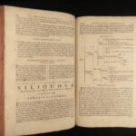 1680 1ed Scottish Morison BOTANY Plantarum Plants Classification Science FOLIOS