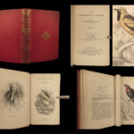 1845 Jardine Naturalist BIRDS Ornithology Flycatchers Fantails Song Birds Tody