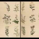 1848 Family Physician Nicholas Culpeper Complete HERBAL Medicine for Poor Cures