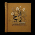 1881 1st ed Edgar Allen POE The Bells Esoteric Occult Horror Literature Plates