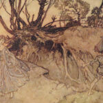 1908 1ed SHAKESPEARE Midsummer Nights Dream Arthur Rackham ART Romance Comedy