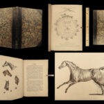 1816 HORSES 1ed Figure Henry Alken ART Equestrian Masterpiece Farming Veterinary