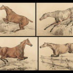 1816 HORSES 1ed Figure Henry Alken ART Equestrian Masterpiece Farming Veterinary