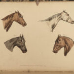 1816 HORSES 1ed Figure Henry Alken ART Equestrian Masterpiece Farming Veterinary