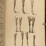 1816 HORSES 1ed Figure Henry Alken ART Equestrian Masterpiece Farming Veterinary