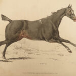 1816 HORSES 1ed Figure Henry Alken ART Equestrian Masterpiece Farming Veterinary