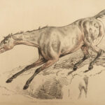 1816 HORSES 1ed Figure Henry Alken ART Equestrian Masterpiece Farming Veterinary