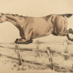 1816 HORSES 1ed Figure Henry Alken ART Equestrian Masterpiece Farming Veterinary