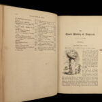 1850 Comic History of England Leech COLOR Illustrated Literature Victorian ART