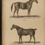 1833 HORSES Complete Farrier Veterinary Medicine HUNTING Dogs Sports Illustrated