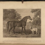 1833 HORSES Complete Farrier Veterinary Medicine HUNTING Dogs Sports Illustrated