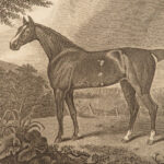 1833 HORSES Complete Farrier Veterinary Medicine HUNTING Dogs Sports Illustrated