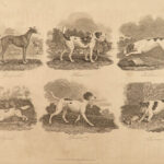 1833 HORSES Complete Farrier Veterinary Medicine HUNTING Dogs Sports Illustrated