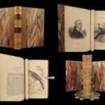 1845 Jardine Naturalist BIRDS West Africa Ornithology Falcon Hawk Songbirds ART