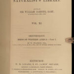 1845 Jardine Naturalist BIRDS West Africa Ornithology Falcon Hawk Songbirds ART