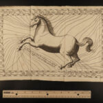 1708 HORSES Perfect Mareschal Solleysel Equestrian Medicine Cavalry Illustrated