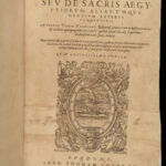 1595 Hieroglyphica EGYPT Egyptian Hieroglyphics Illustrated Bolzani Horapollo