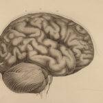 1810 Neurology 1ed Brain Anatomy Spurzheim & Gall Physiognomy Phrenology FOLIO
