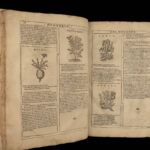 1667 HERBAL Castore Durante Hebario Nuovo Plants Medicine Illustrated Mattioli