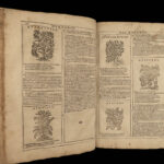 1667 HERBAL Castore Durante Hebario Nuovo Plants Medicine Illustrated Mattioli