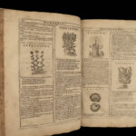1667 HERBAL Castore Durante Hebario Nuovo Plants Medicine Illustrated Mattioli