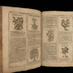 1667 HERBAL Castore Durante Hebario Nuovo Plants Medicine Illustrated Mattioli