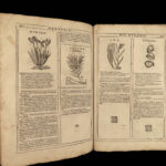 1667 HERBAL Castore Durante Hebario Nuovo Plants Medicine Illustrated Mattioli