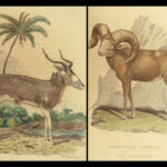 1827 1ed Animal Kingdom Baron Cuvier Class Mammalia Naturalist 52 Color Plates