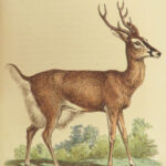 1827 1ed Animal Kingdom Baron Cuvier Class Mammalia Naturalist 52 Color Plates
