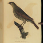 1829 BIRDS 1ed Animal Kingdom Baron Cuvier Aves Ornithology 56 Color Plates