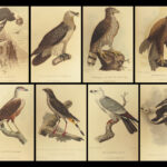 1829 BIRDS 1ed Animal Kingdom Baron Cuvier Aves Ornithology 26 Color Plates