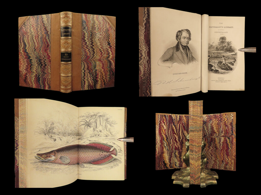 1843 fish jardine fishing piranha salmon dorsa ichthyology africa guiana art |   a significantly rare first edition of volume five of ‘<em>ichyology</em>’ from sir william jardine’s ‘<em>naturalist’s library</em>’ entitled, ‘<em>the natural history of the fishes of guiana</em>. ’ edited by sir william jardine and written by robert h. Schomburgk, esq. , this work provides a fascinating 19<sup>th</sup>-century survey on aquatic wildlife. This scientific treatise provides 32 beautifully hand-colored engraved plates depicting a variety of fish native to the guianas located in northeast south america such as porcupine acanthicus, shark-tailed hypostoma, black doras, tiger pimelodus, flat-headed platystoma, piranha saw-bellied salmon, carp, fishing implements, and much more!