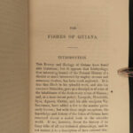 1843 FISH Jardine FISHING Piranha Salmon Dorsa Ichthyology Africa Guiana ART