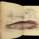 1843 FISH Jardine FISHING Piranha Salmon Dorsa Ichthyology Africa Guiana ART