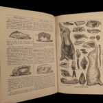 1890 Beeton’s Cookery COOKING Food Illustrated Baking Recipes Cook Book Menus
