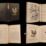 1867 Domestic Poultry Farming Guide Chicken Saunders Breeding Duck Illustrated