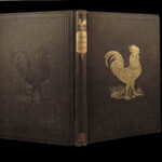 1867 Domestic Poultry Farming Guide Chicken Saunders Breeding Duck Illustrated