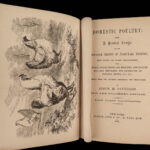 1867 Domestic Poultry Farming Guide Chicken Saunders Breeding Duck Illustrated