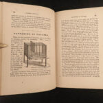 1867 Domestic Poultry Farming Guide Chicken Saunders Breeding Duck Illustrated