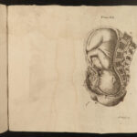 1782 Obstetrics & Pregnancy Smellie Female Anatomy 40 Plates Medicine Surgery