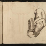 1782 Obstetrics & Pregnancy Smellie Female Anatomy 40 Plates Medicine Surgery