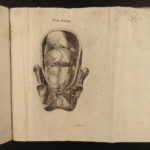 1782 Obstetrics & Pregnancy Smellie Female Anatomy 40 Plates Medicine Surgery