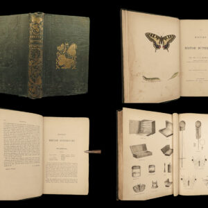 1864 History of Butterflies Butterfly ART Naturalist Entomology 69 PLATES