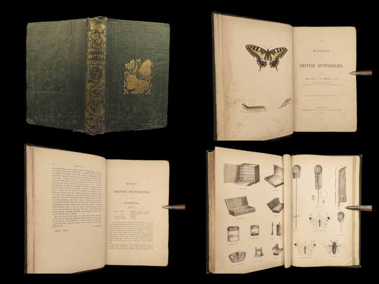 Image of 1864 History of Butterflies Butterfly ART Naturalist Entomology 69 PLATES