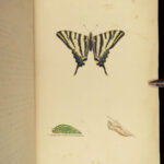 1864 History of Butterflies Butterfly ART Naturalist Entomology 69 PLATES