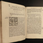 1556 Greek Attic Nights Noctes Atticae ROME Philosophy Aulus Gellius GREECE